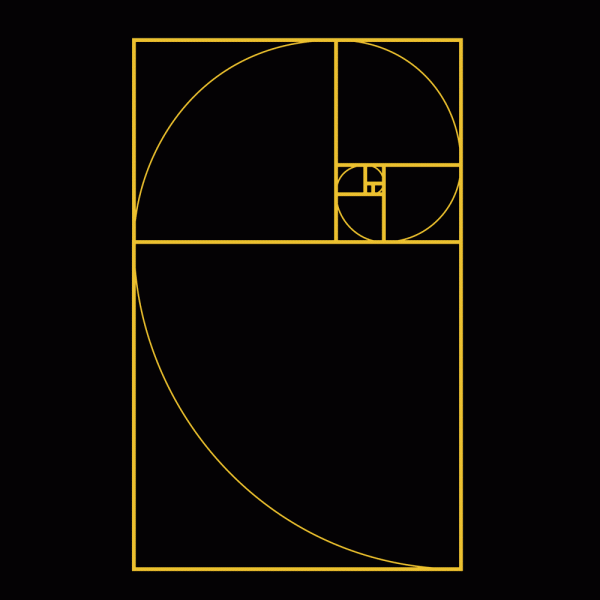 Geometric Ratio T-Shirt Design